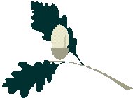 Acorns